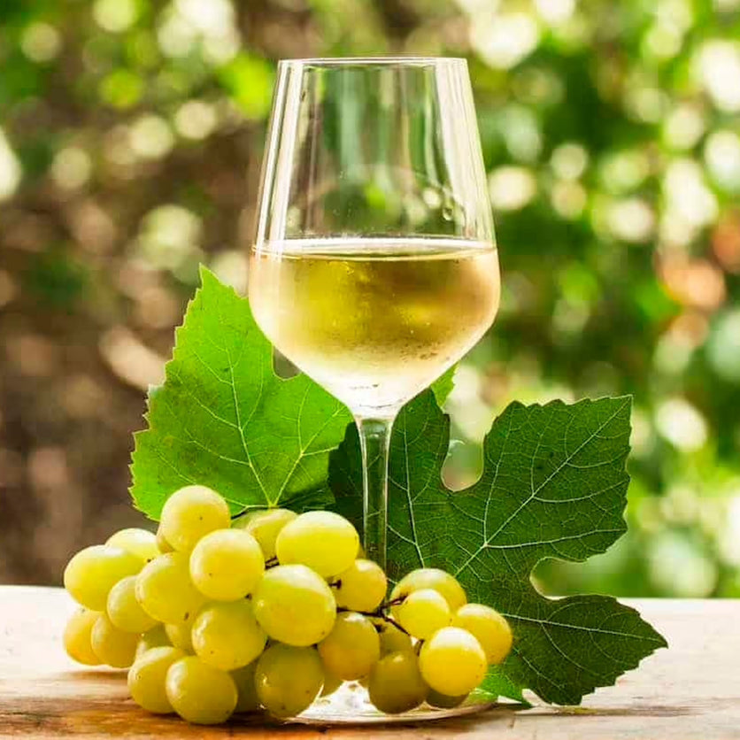 Goodvines Sparkling Riesling | Coolsobers: Vino Sin Alcohol – COOLSOBERS