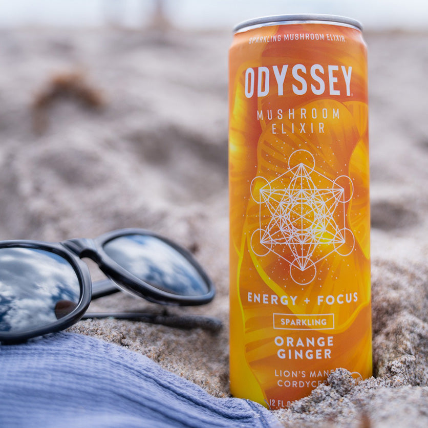 
                  
                    ODYSSEY MUSHROOM ELIXIR SPARKLING ORANGE GINGER
                  
                